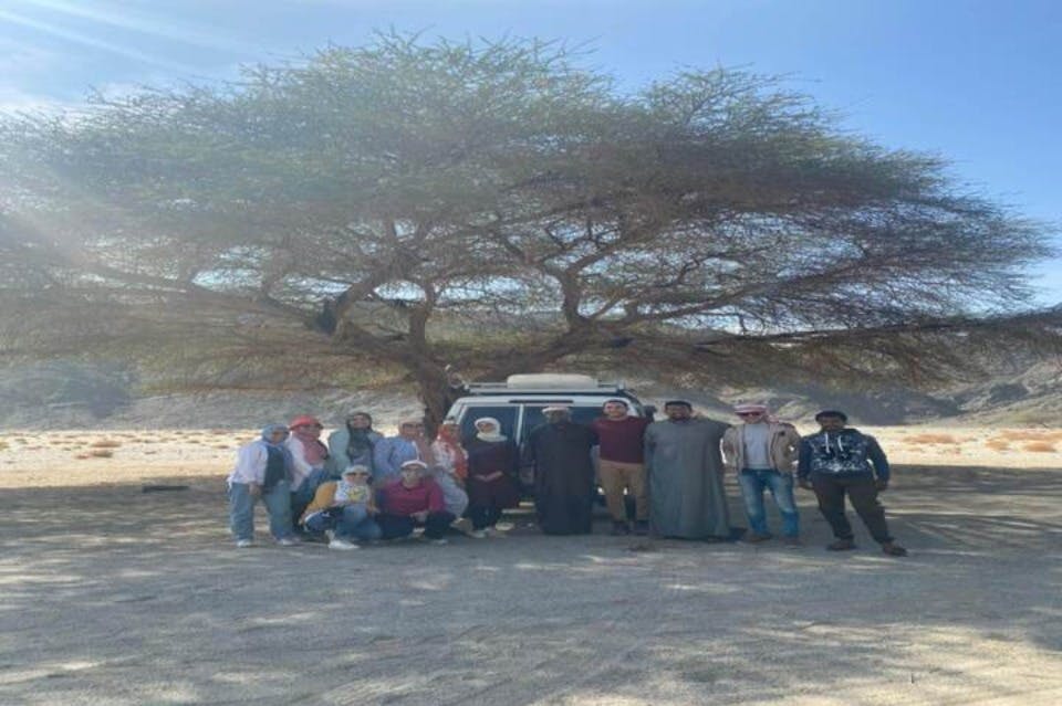 Excursion dans le désert de Marsa Waves