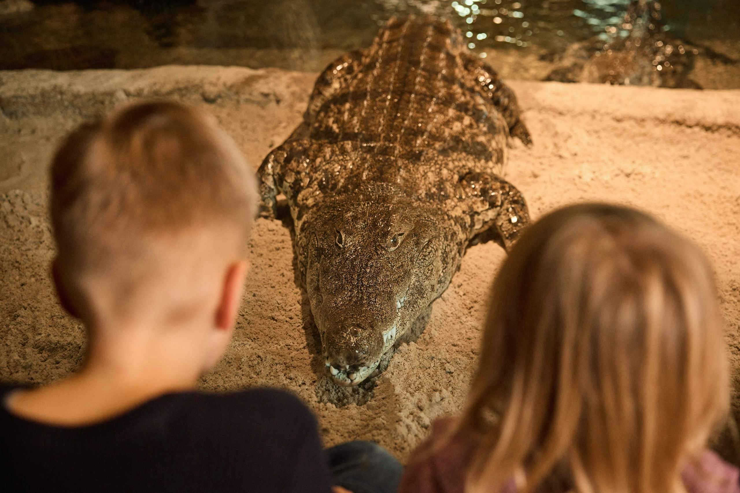 AquaZoo Leeuwarden + OV-Day Ticket