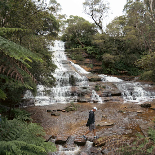 Blue Mountains National Park: Day Tour from Sydney + Lunch - Photo 9