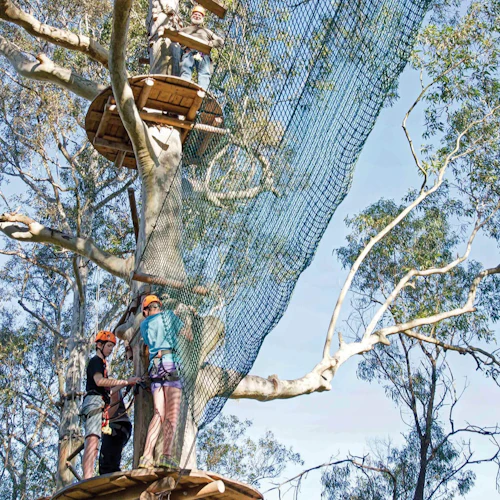 Treetops Adventure Western Sydney: Junior Ropes Course