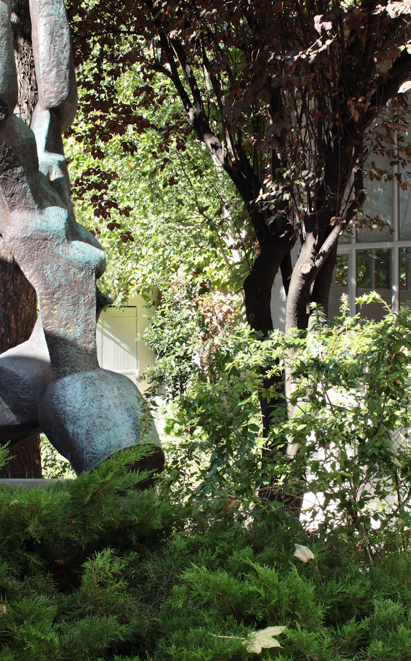 מוזיאון זדקין (Musée Zadkine) פריז בParis — תמונה 2