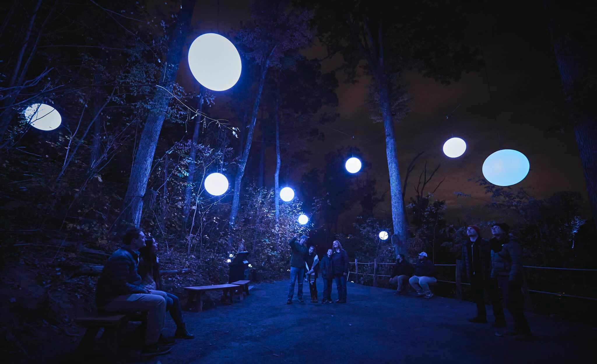 Люди в лесу ночью, в окружении светящихся сферических огней, висящих на деревьях, создают безмятежную атмосферу.