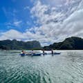 Kayak Ao Thalane, célèbre dans le monde entier, découvrez le riche écosystème naturel de la mangrove, de la mer, des montagnes et des palétuviers.