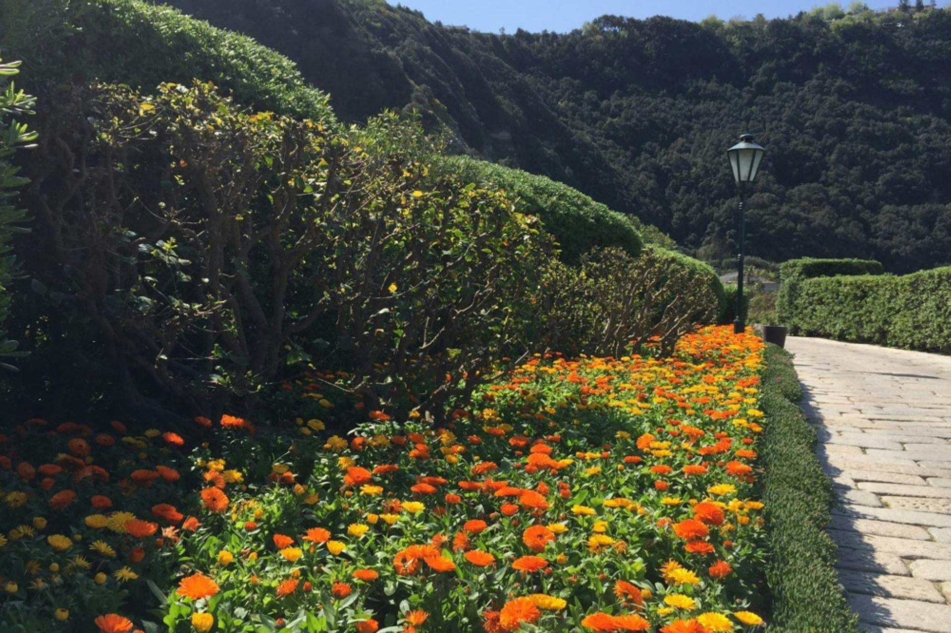 GIARDINI POSEIDON TERME