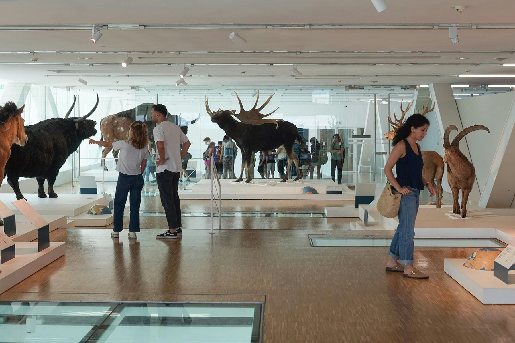 Prehistoric animal exhibits