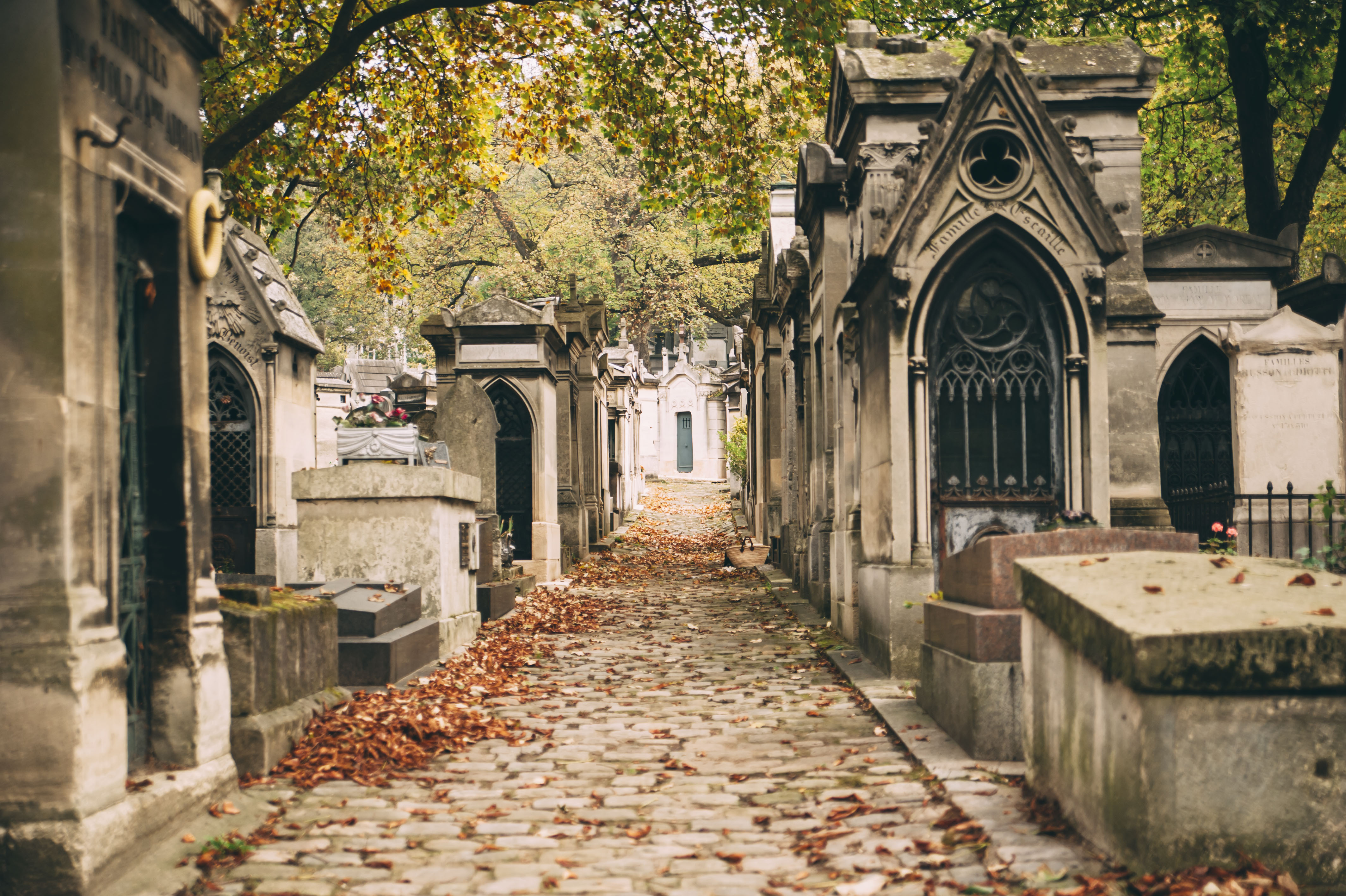 Père Lachaise Cemetery: Guided Tour - Paris - 