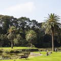 Il lago ornamentale dei Giardini Botanici Reali di Melbourne