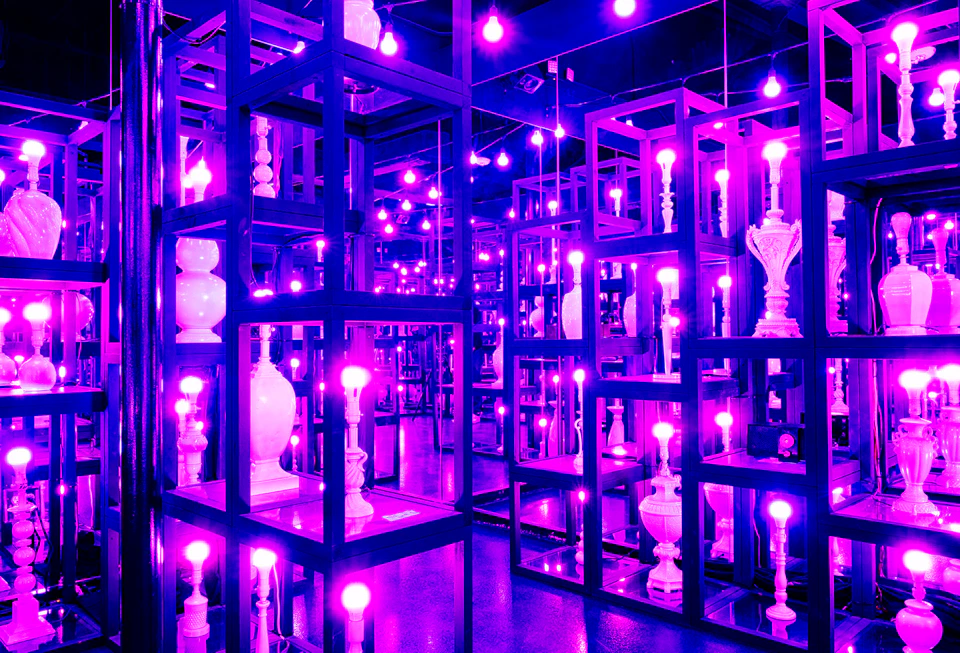 An illuminated room with shelves holding various white vases and lamps, all under purple lighting.