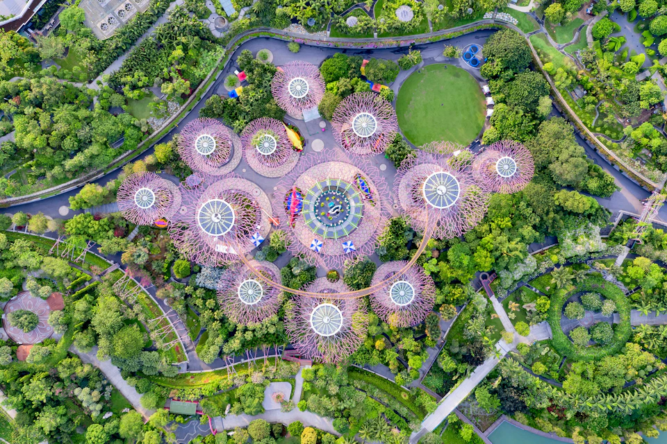 Overview