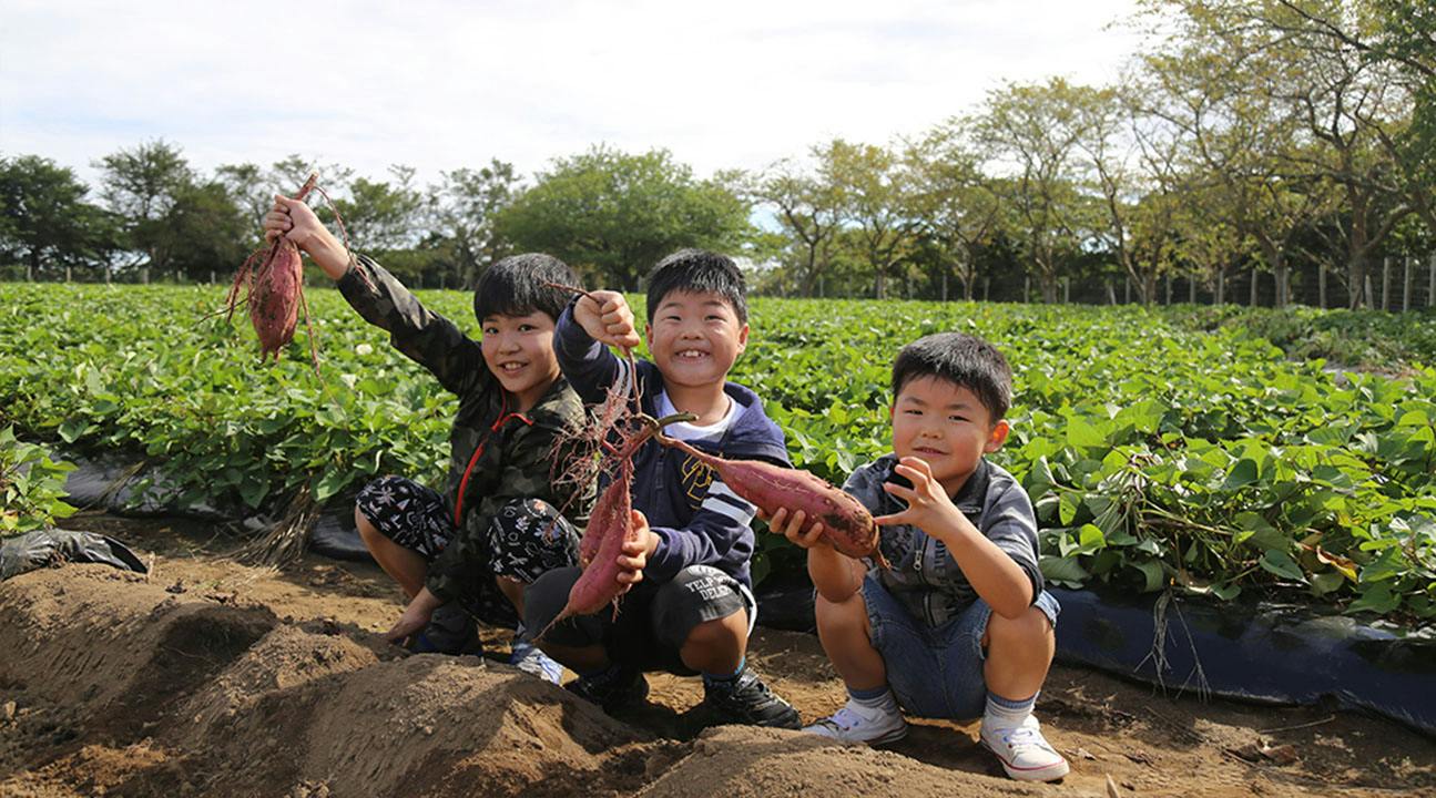 Three children crouch in a field holding freshly harvested sweet potatoes, smiling at the camera on a sunny day.