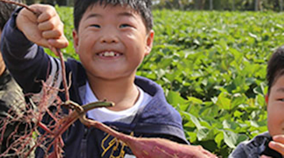 Three children kneeling in a field, holding freshly harvested sweet potatoes and smiling at the camera.
