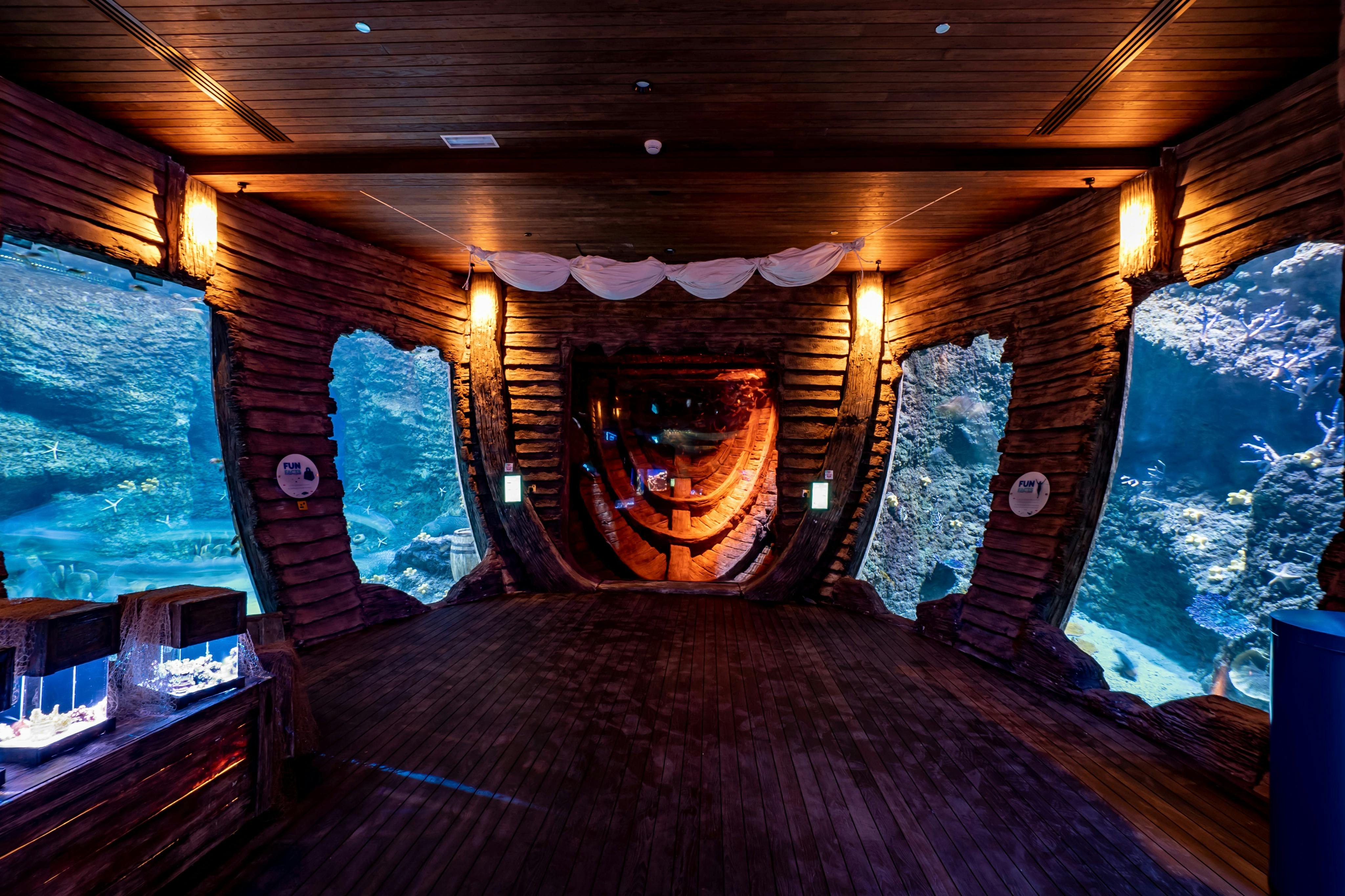 L'Acquario Nazionale di Abu Dhabi