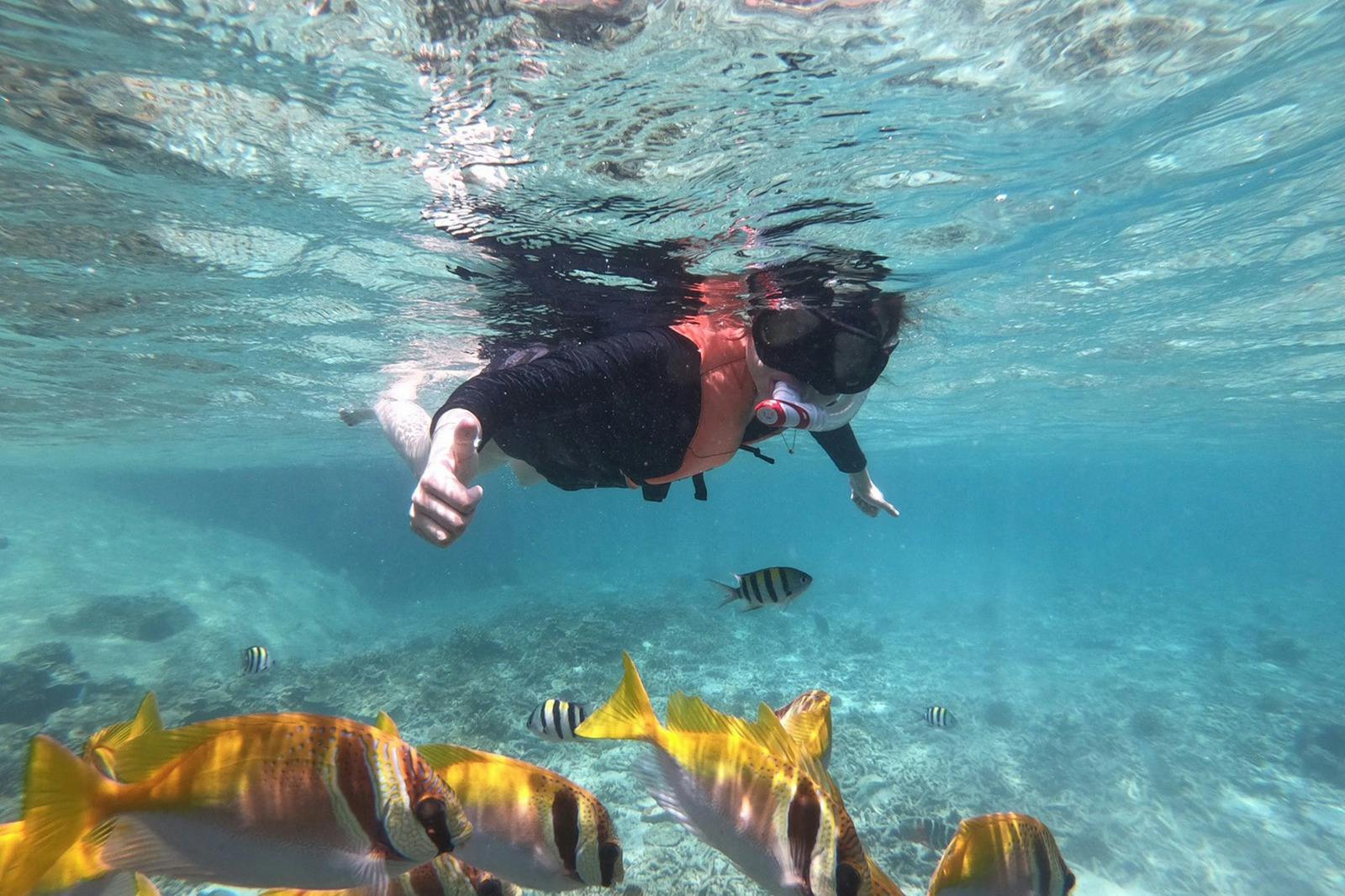 走近，欣赏这条美丽的鱼。