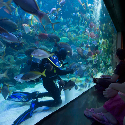 Aquaria KLCC: Entry Ticket