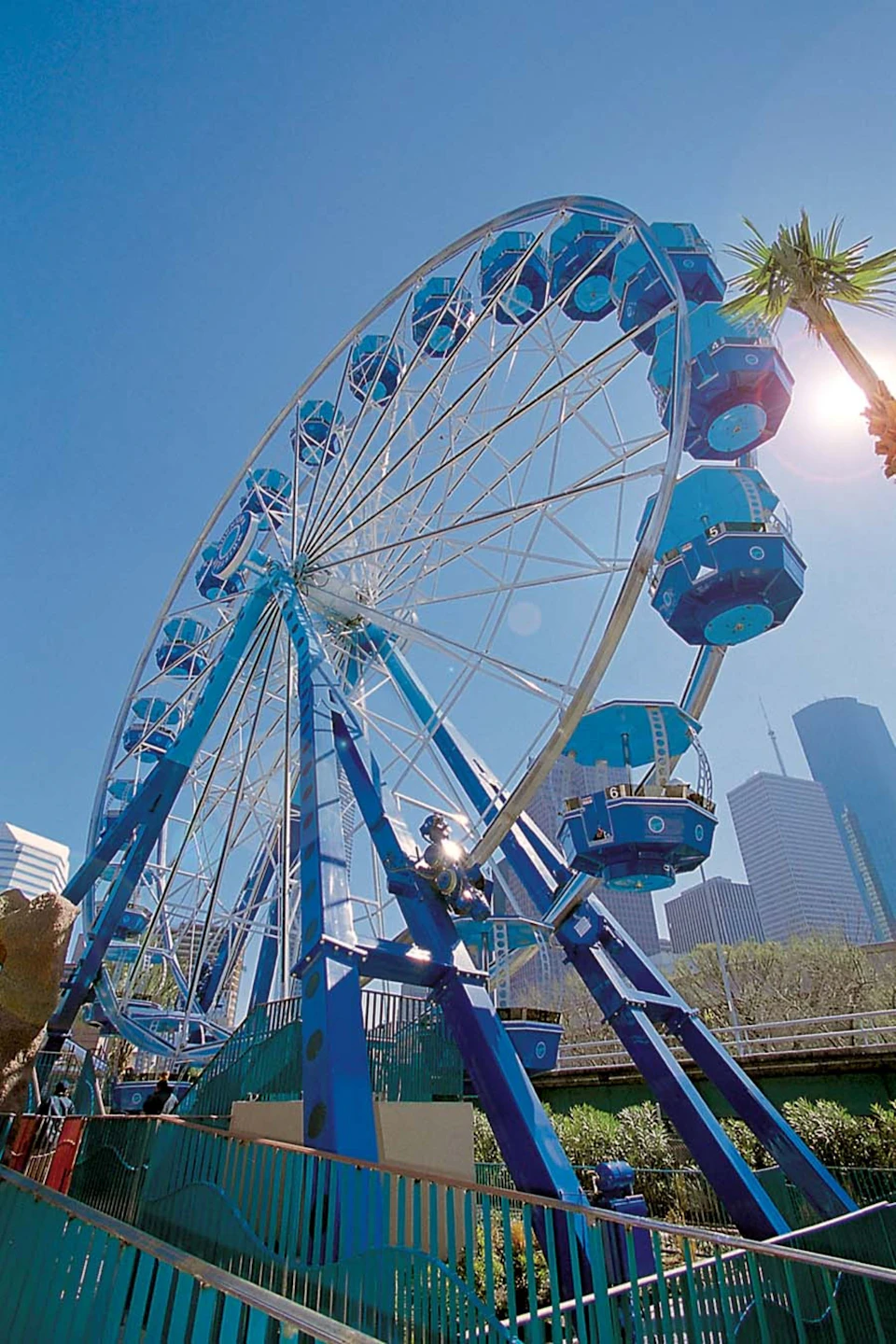 A large blue Ferris wheel with enclosed cabins in a city park, surrounded by palm trees and tall buildings under a clear blue sky.