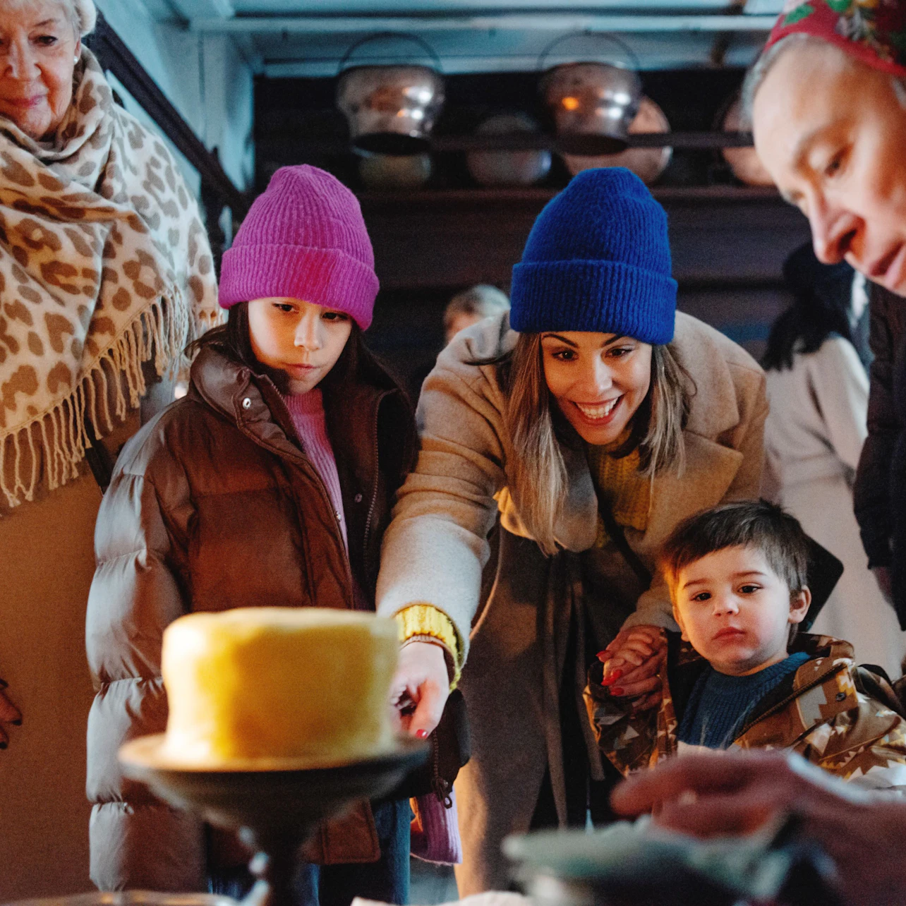 Skansen: Open-Air Museum and Nordic Zoo in Stockholm β Tiqets