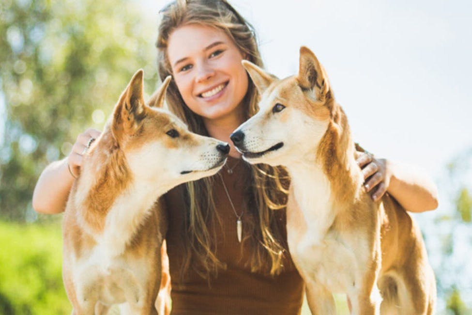 Парк дикой природы Moonlit Sanctuary