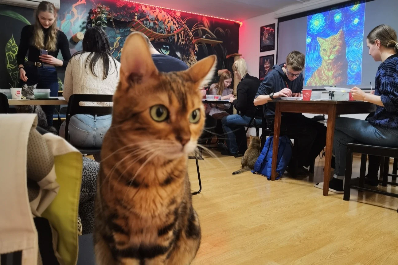 Cat Museum Budapest: Guided Acrylic Painting Workshop