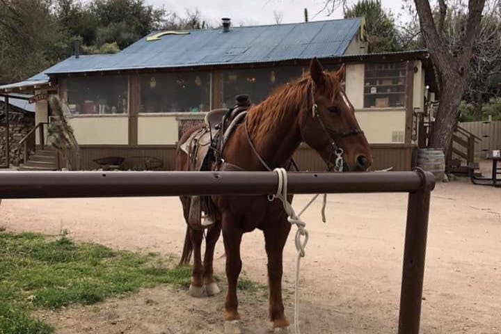 라스베이거스에서 즐기는 승마 투어와 야생마 대여
