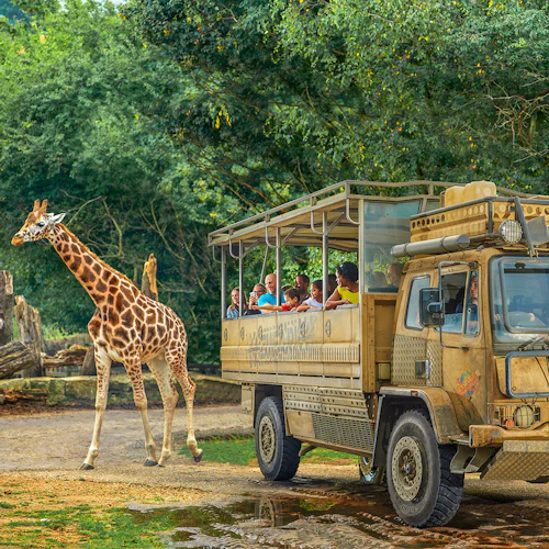 Chessington World of Adventures: bilhete de entrada - Photo 4