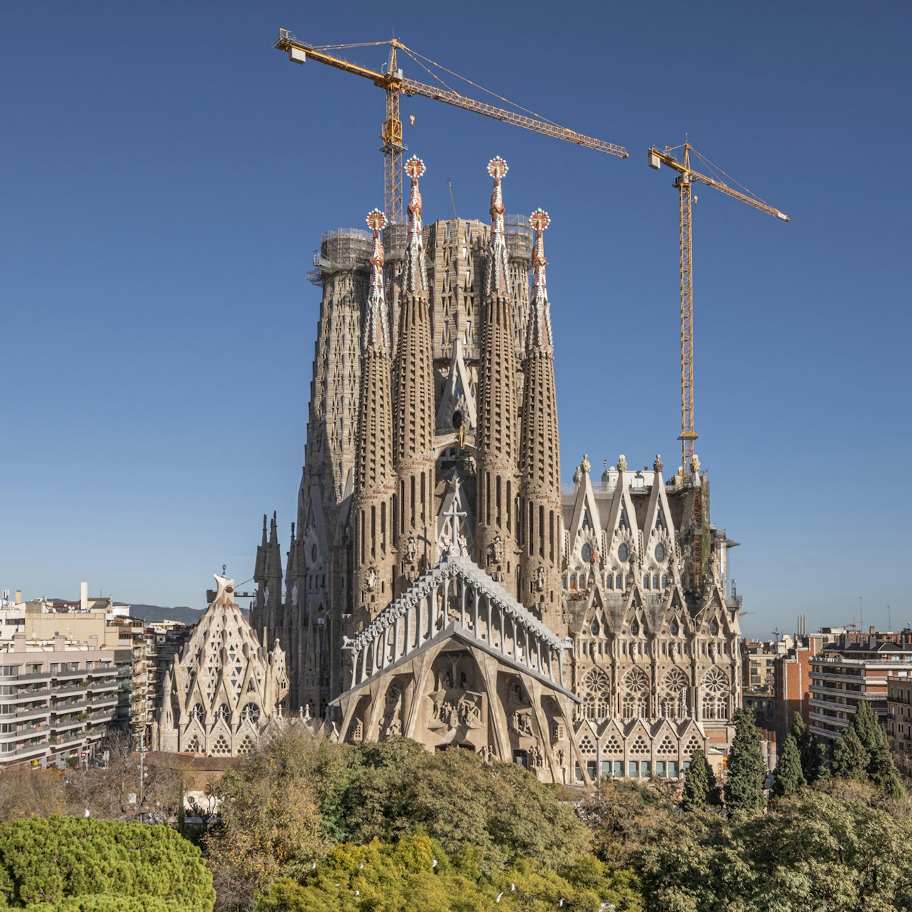 Sagrada Familia: Go With a Local Guided Tour in Barcelona β Tiqets