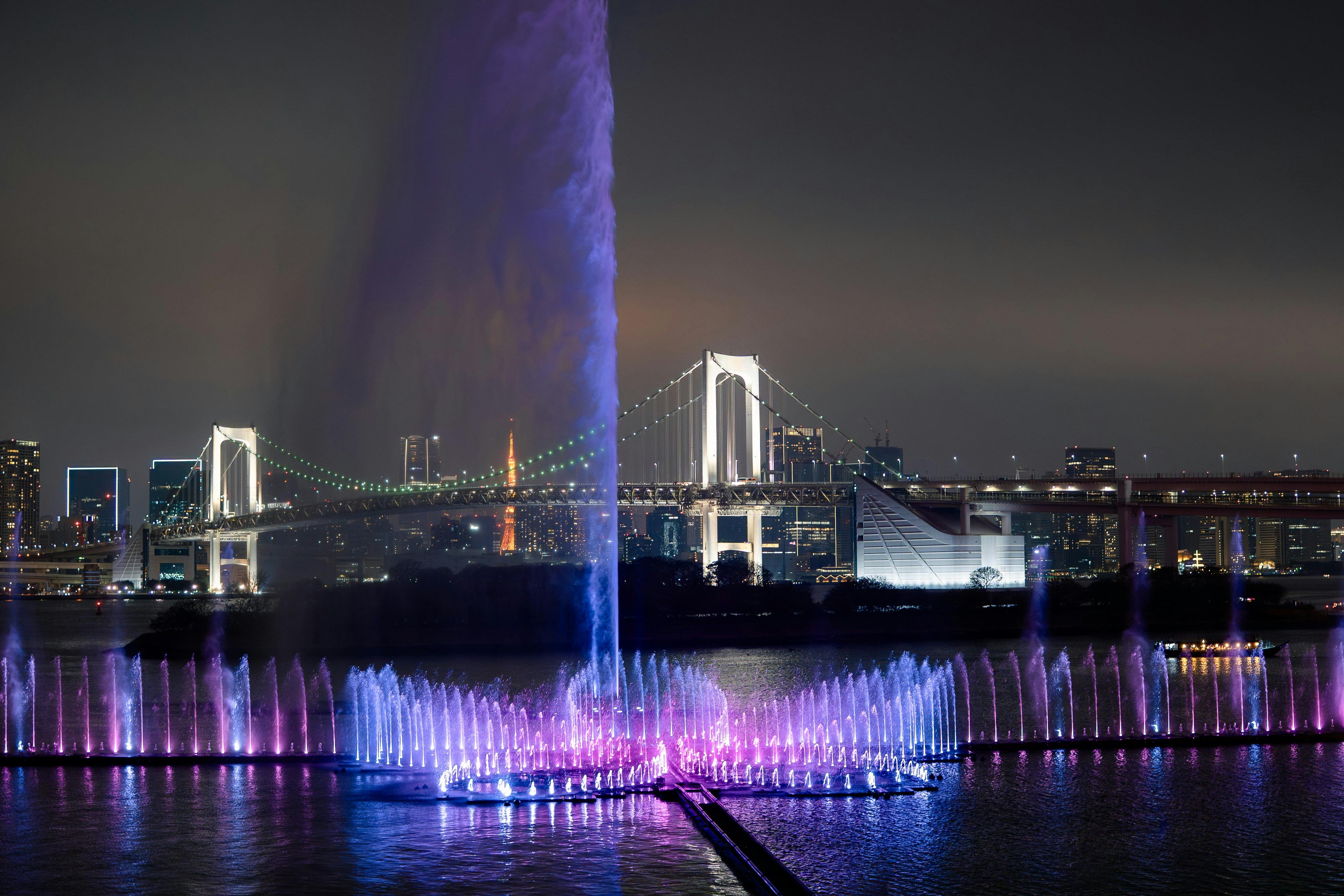 Baia di Tokyo: Tour Yakatabune in barca + spettacolo dal vivo + pasto — 7
