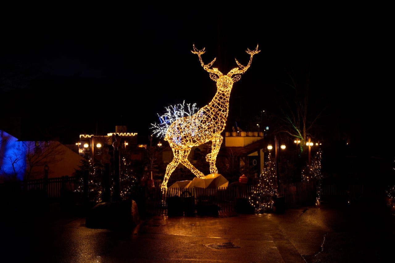 一座大型驯鹿雕塑，由夜间照亮的圣诞灯光制成，周围环绕着较小的节日灯光和装饰品。