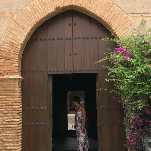 Alhambra: Guided Exterior Tour - Photo 4