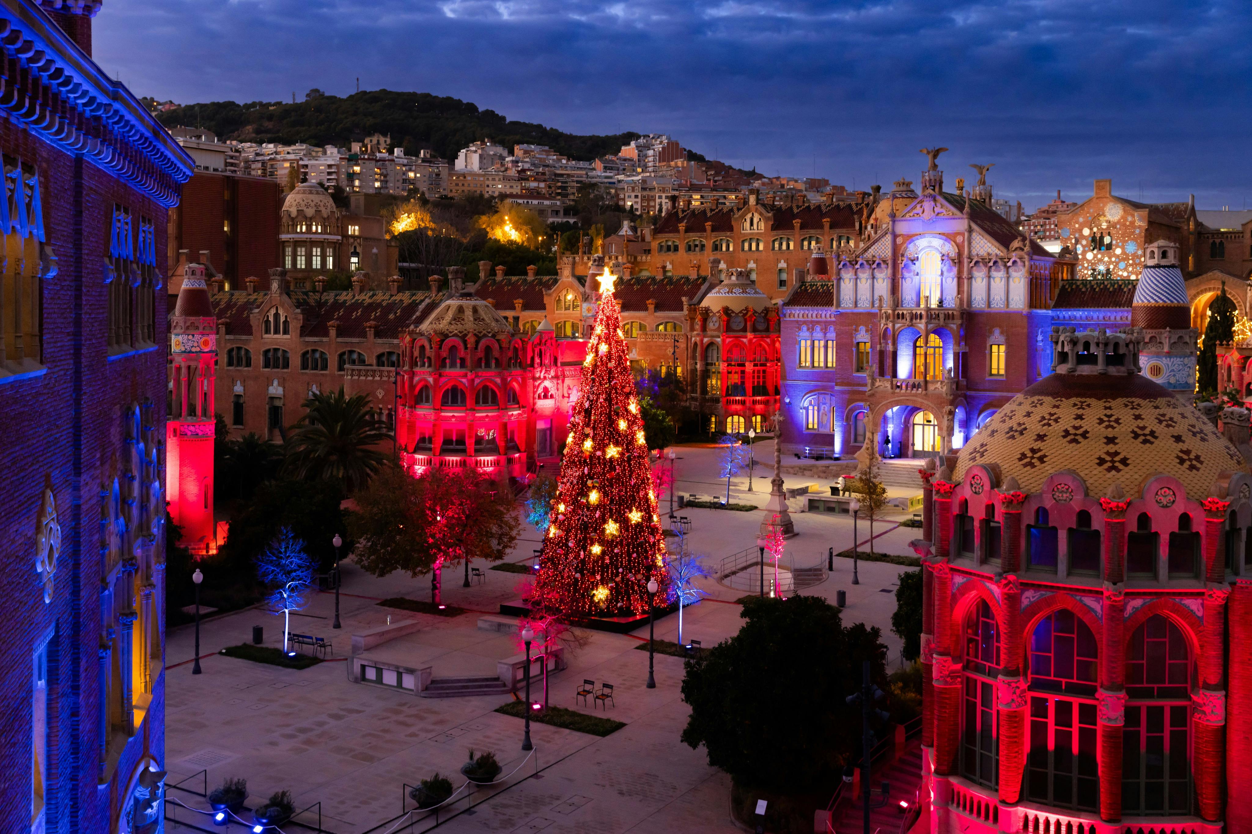 A brightly lit Christmas tree stands in a festive plaza surrounded by illuminated, historic buildings under a twilight sky.