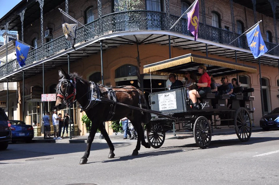 A horse-drawn carriage with passengers travels on a city street, passing by a building with iron balconies and flags.