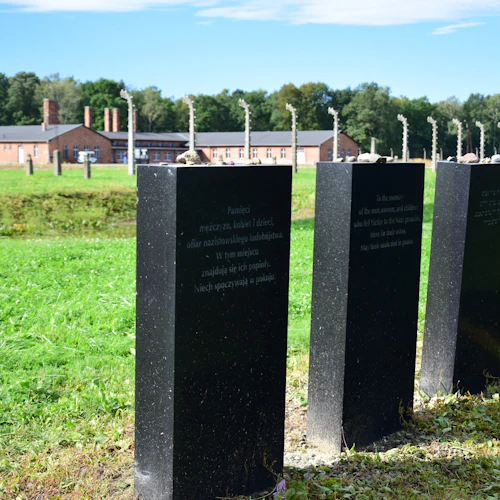 Auschwitz-Birkenau: Tour guiado + Transporte - Photo 10