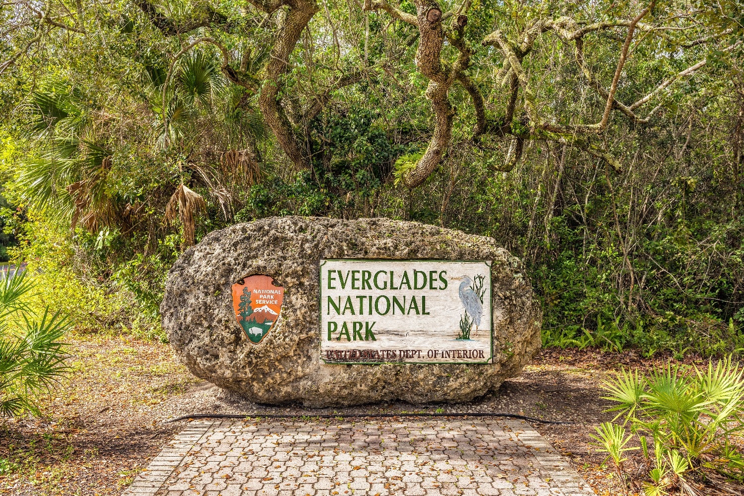 Everglades: Self-Guided Driving Tour with Audio Guide