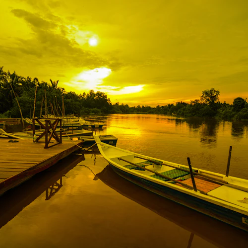 Kuala Selangor Fireflies and Blue Tears Guided Tour with Dinner