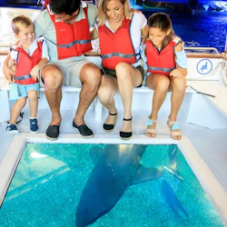 Palma Aquarium: Entry Ticket + Transfer from Calvià Area 5