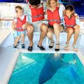 Shark Vision Boat