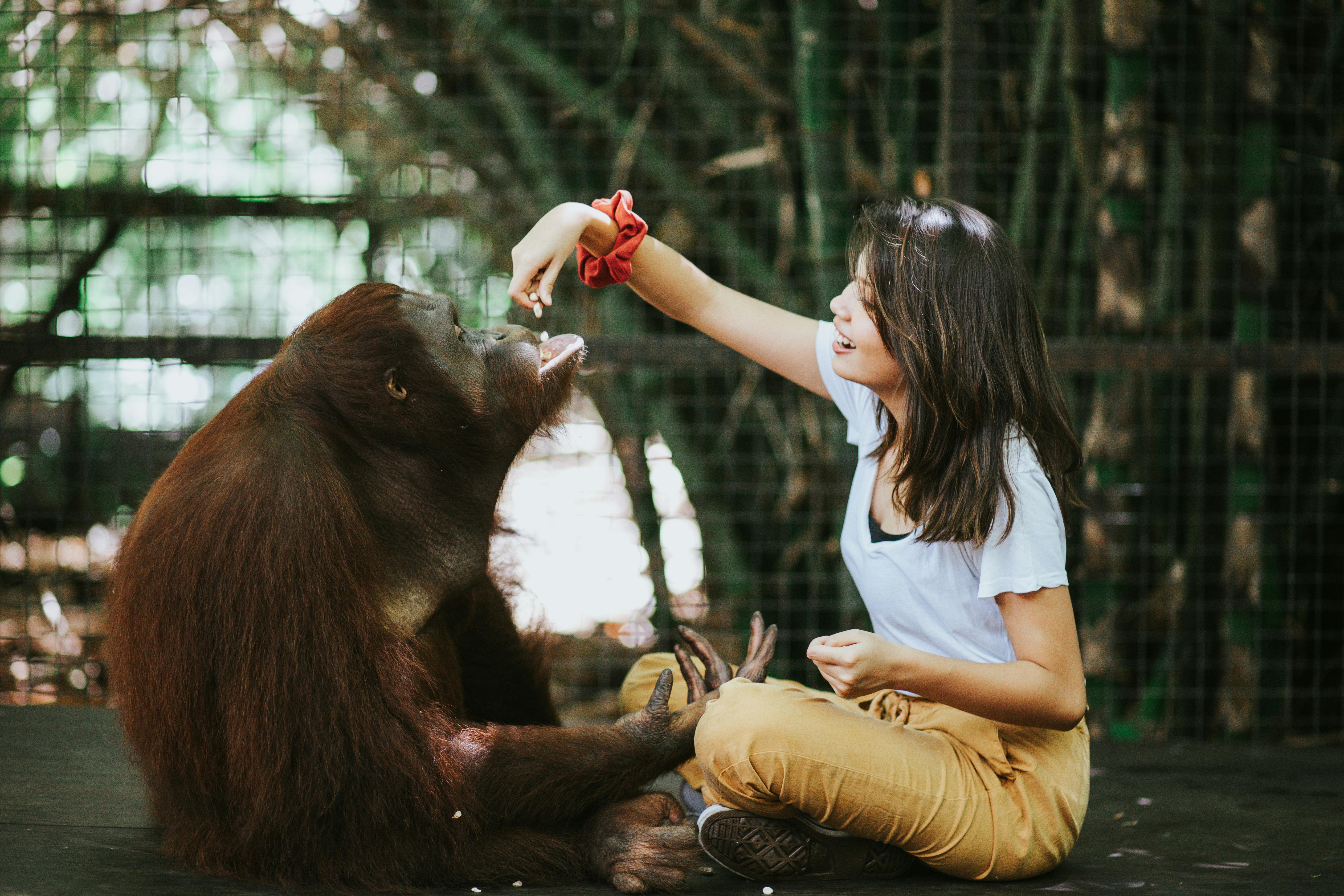 Lombok Wildlife Park: Intimate Wildlife Experience