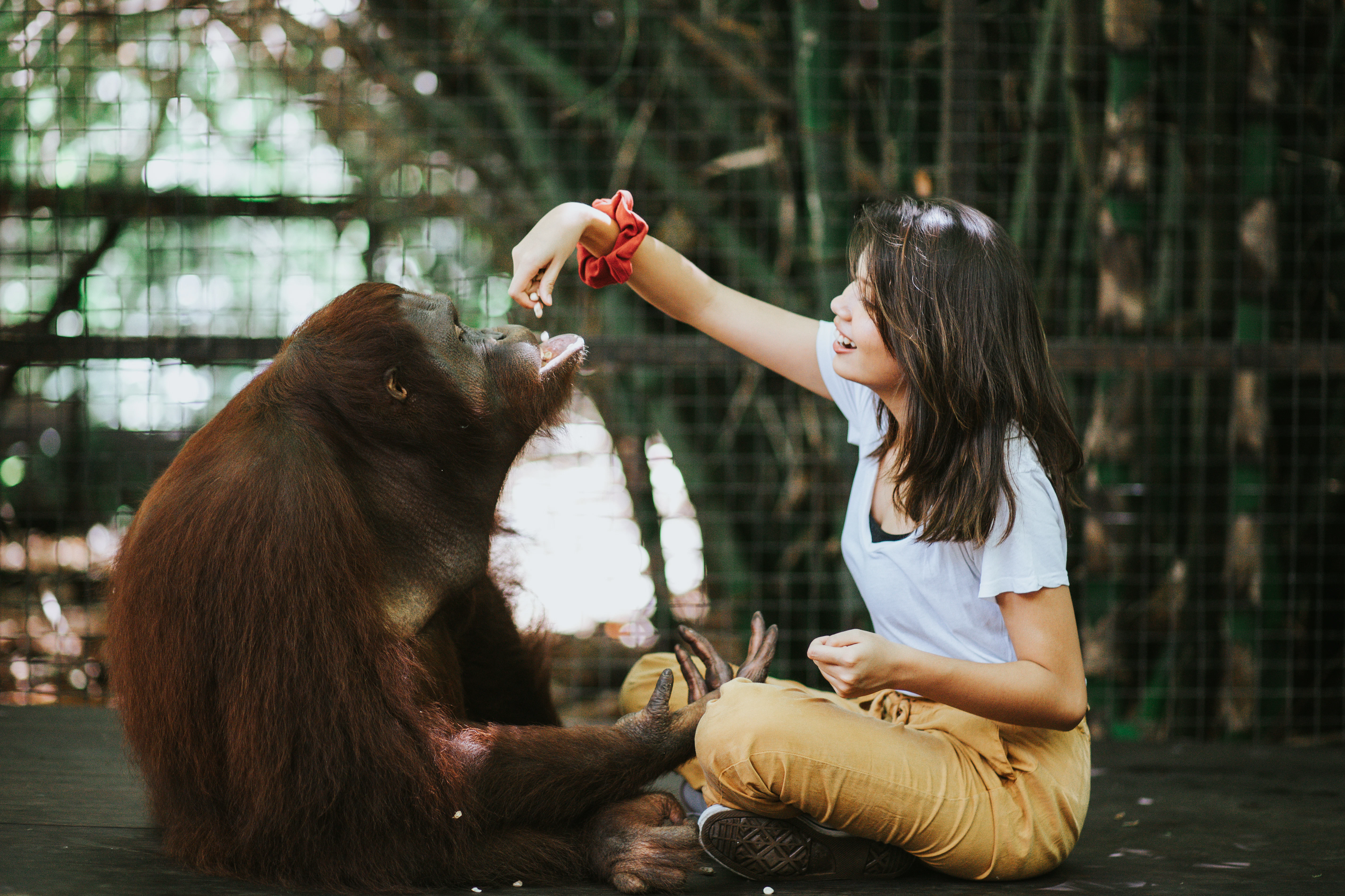 Lombok Wildlife Park: Intimate Wildlife Experience