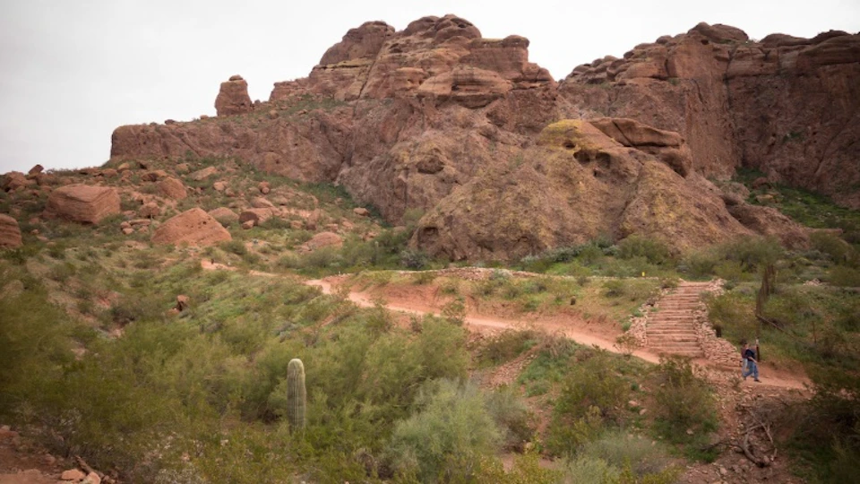 A desert landscape with a rocky hill, a dirt trail, and sparse vegetation including a cactus in the foreground.