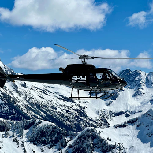 Vancouver: BC Backcountry 30 ou 45 minutos de voo de helicóptero - Photo 4
