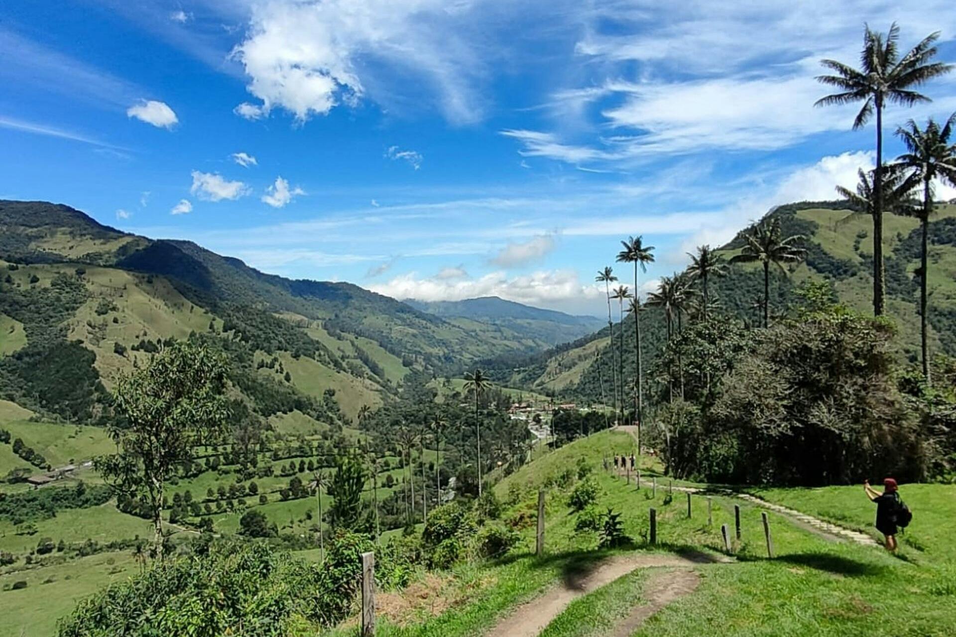 Κοινή περιήγηση στην κοιλάδα Cocora