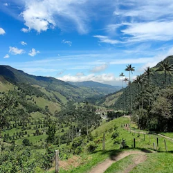 Cocora Valley: Guided Shared Tour From Salento 2