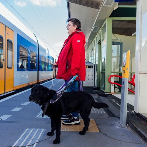 Amsterdam: Billete de tren a/desde Delft