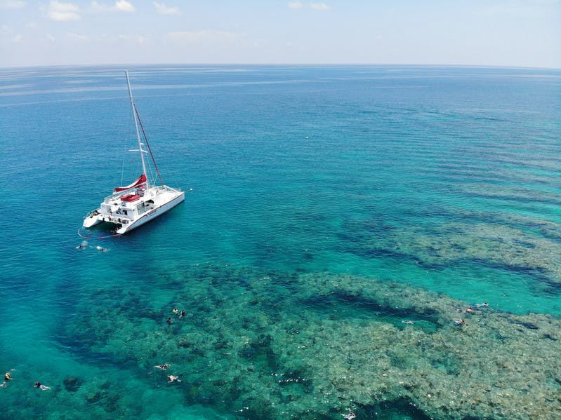 一艘带有红帆的白色双体船停泊在清澈的绿松石水中，周围环绕着珊瑚礁和游泳者。