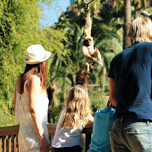 Palmitos Park: Entry Ticket