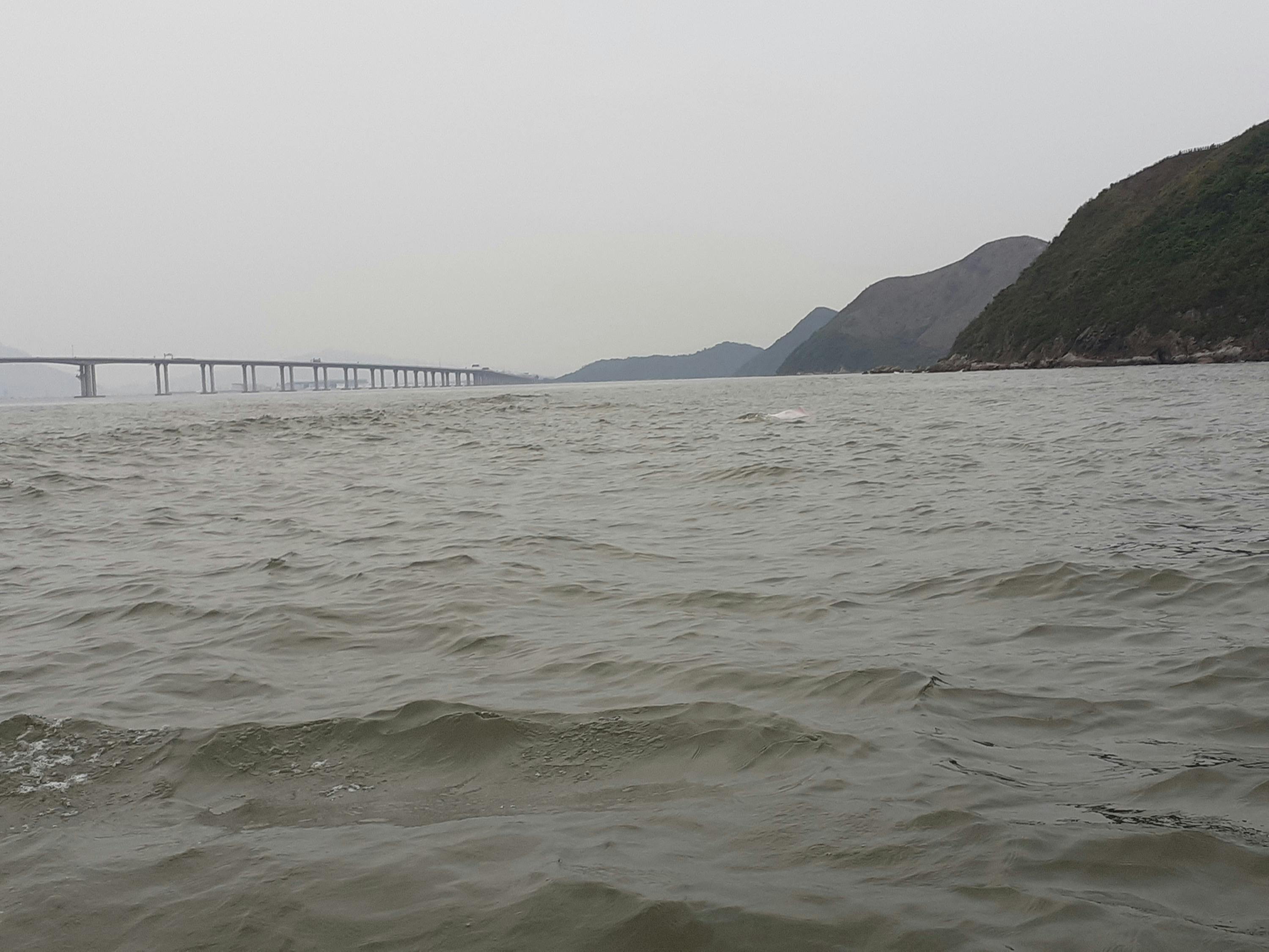 Tai O: Passeio turístico de barco de 20 minutos - Photo 4