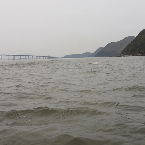 Tai O: Passeio turístico de barco de 20 minutos - Photo 4