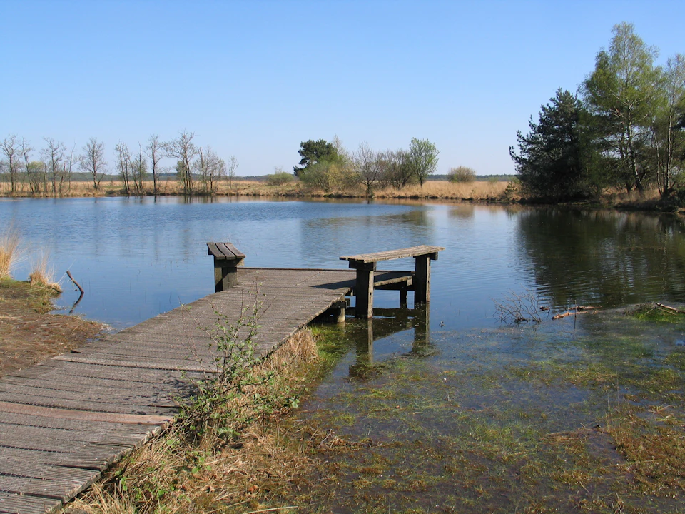 A wooden pier extends into a calm lake surrounded by sparse trees and grass under a clear blue sky.