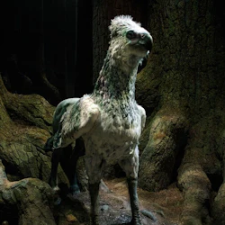 Harry Potter Warner Bros. Studio London: Entry + Transfer from Kings Cross 5