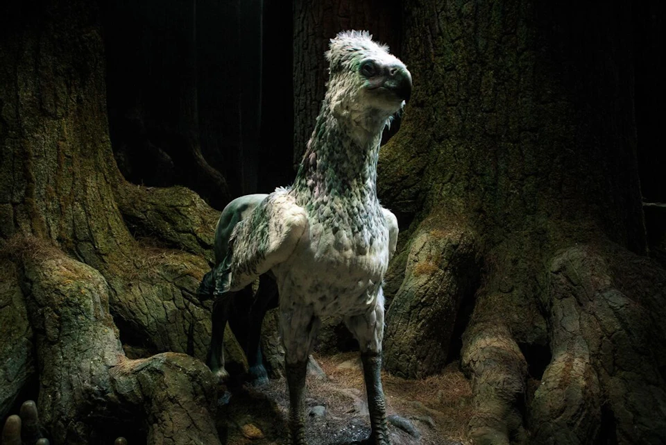 Buckbeak