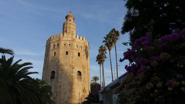 Billet Séville : Croisière touristique à partir de Torre Del Oro + guide audio - 6